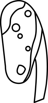 Belay Device