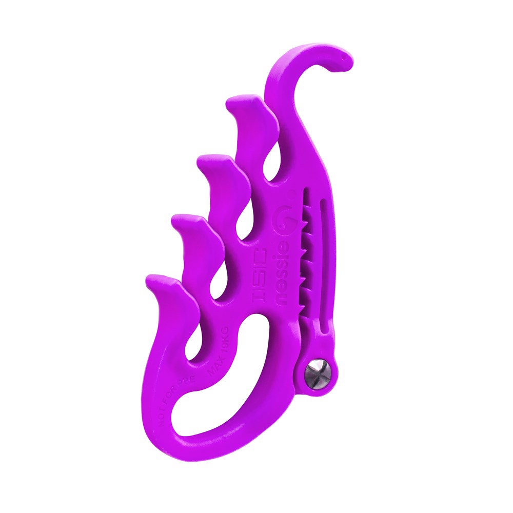 ISC Nessie