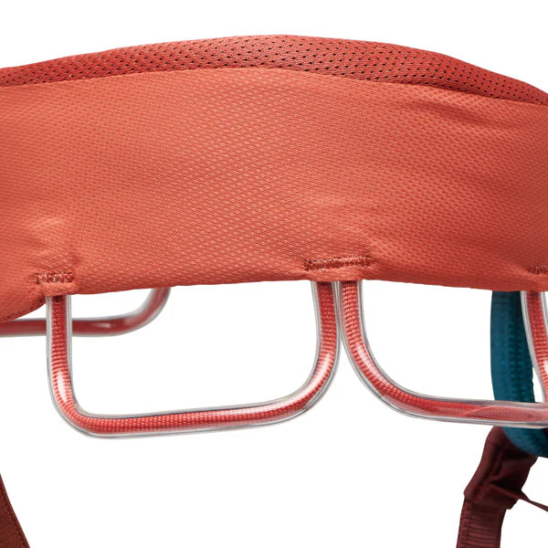 Black Diamond Momentum Harness - Women's