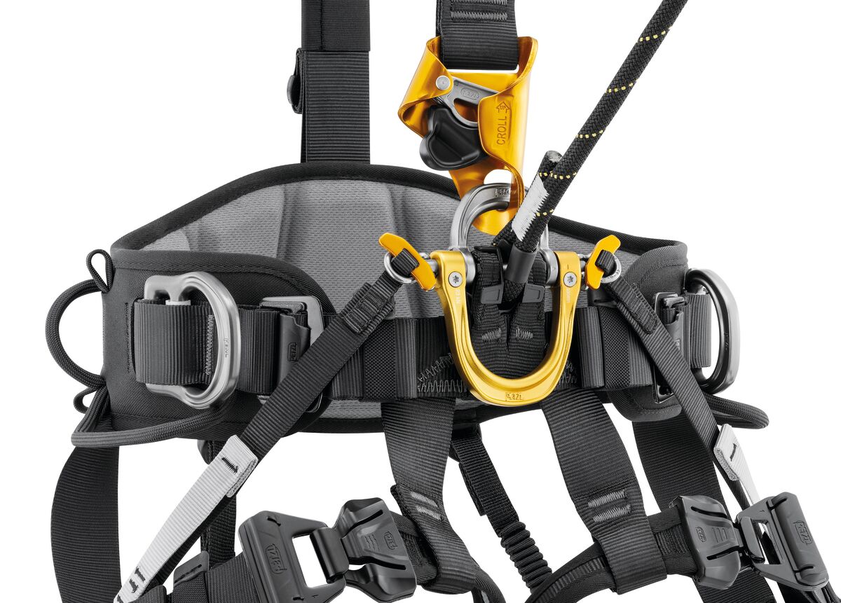 Petzl ASTRO BOD FAST International Version