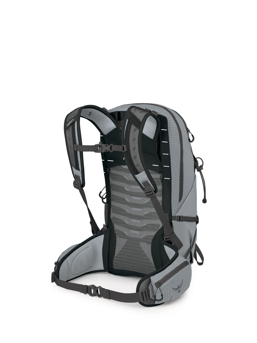 Osprey Talon Pro 20