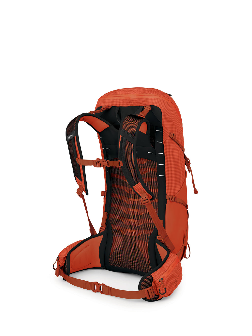 Osprey Talon Pro 30