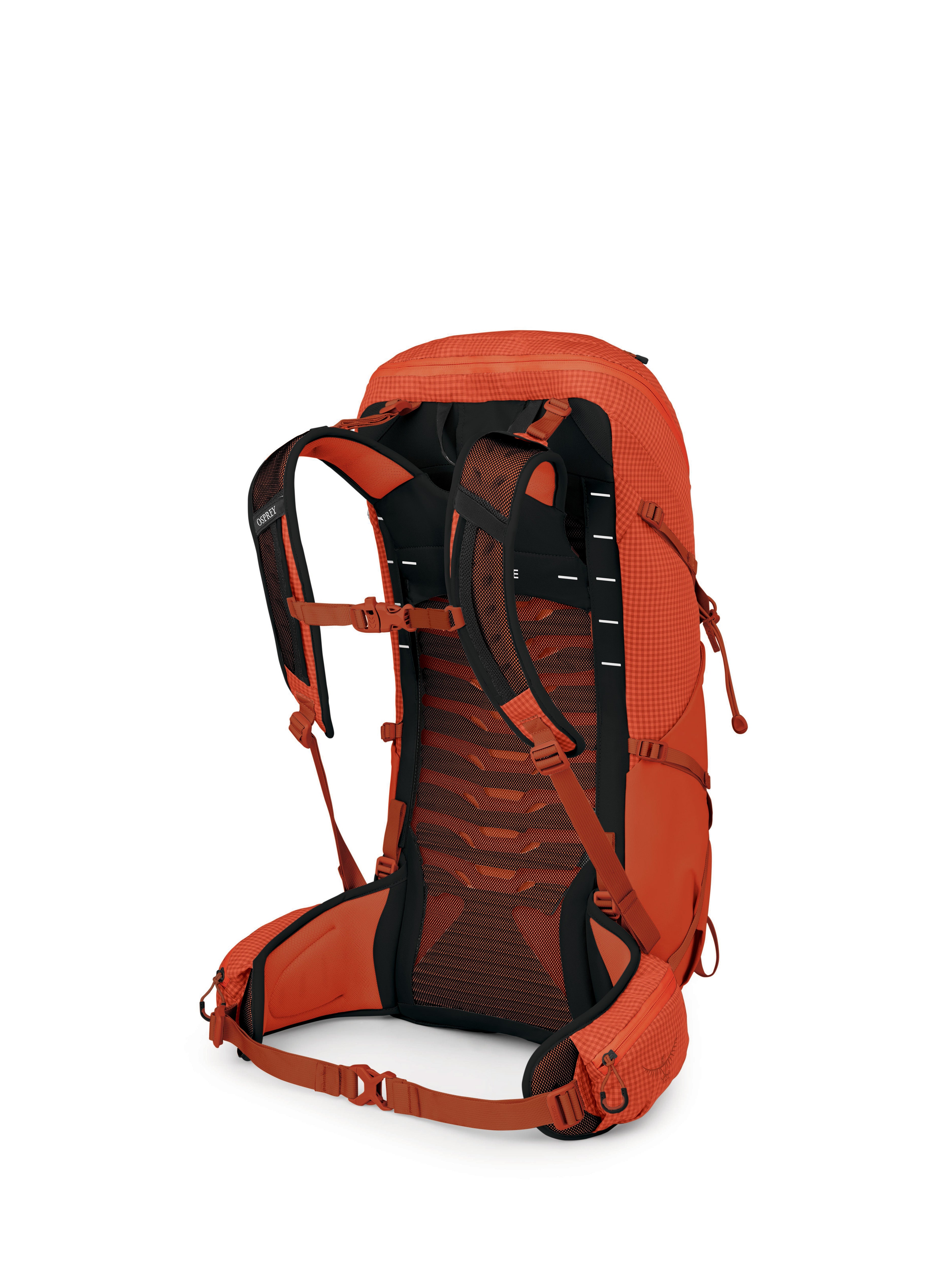 Osprey Talon Pro 30